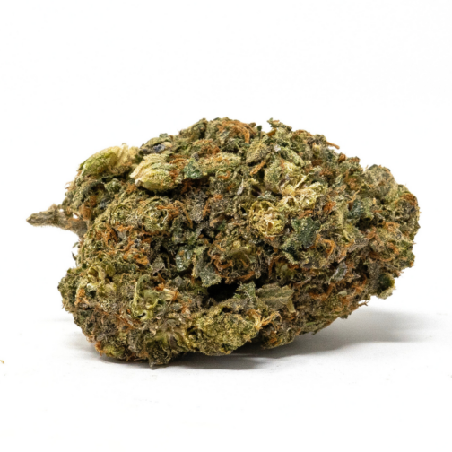 Aurora Flower