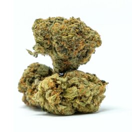 Purple Queen Flower