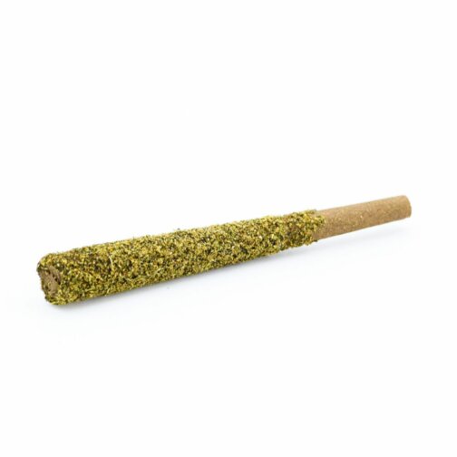 Connoisseur Pre-roll