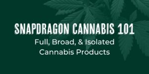 Snapdragon Cannabis 101 Featured Image