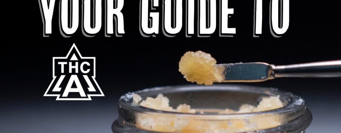 THCA Concentrates Featured Image