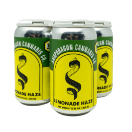 Lemonade Haze 4pk