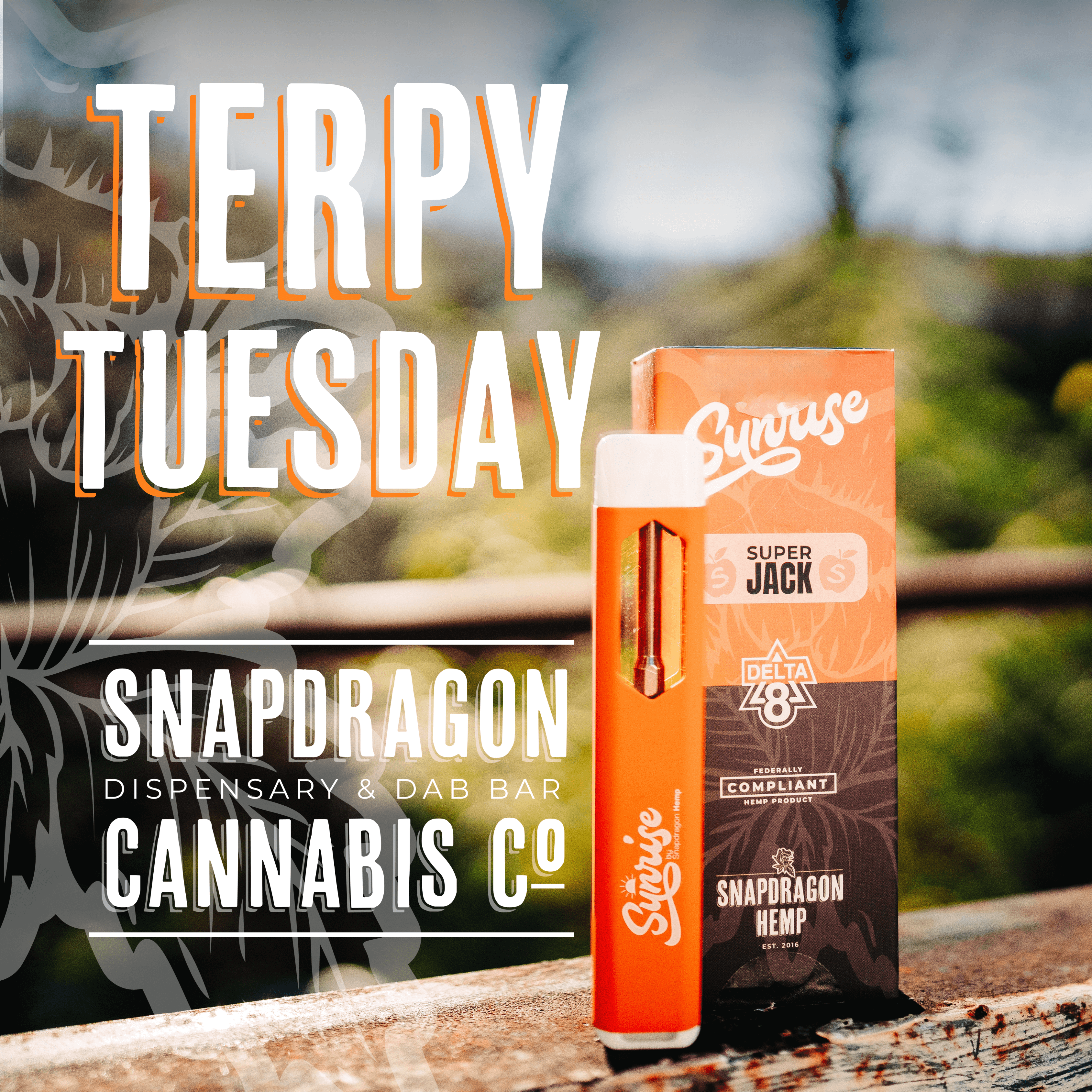Terpy Tuesday