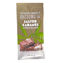 Salted Caramel D9 choco bar