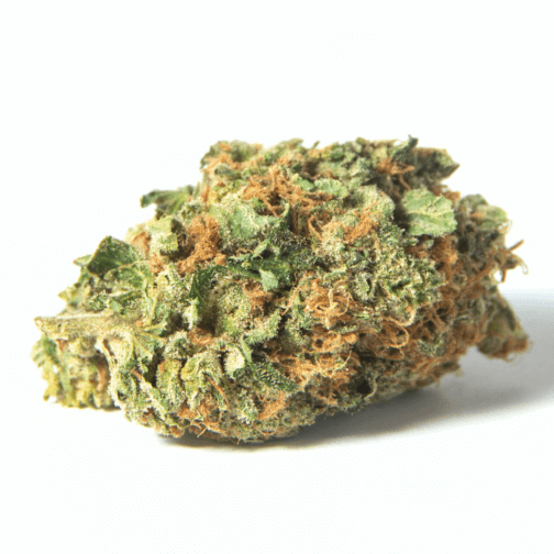 Orange Sherbert