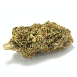 Rainbow Sherbet #11 Craft Reserve THCA Flower