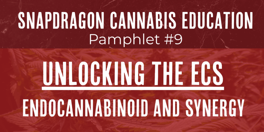 Unlocking the Power of the Endocannabinoid System (ECS) and the Entourage Effect