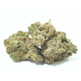 Kush Mintz