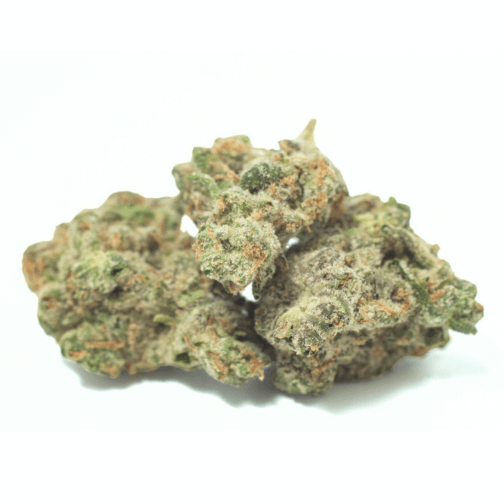 Kush Mintz