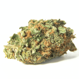 Orange Sherbert Craft Reserve THCA Flower
