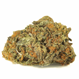 Pink Gumbo Craft Reserve THCA Flower