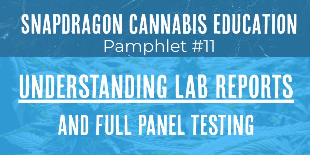 Understanding Lab Reports & Full Panel Testing