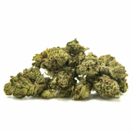 Neon Runtz Craft Reserve THCA Flower