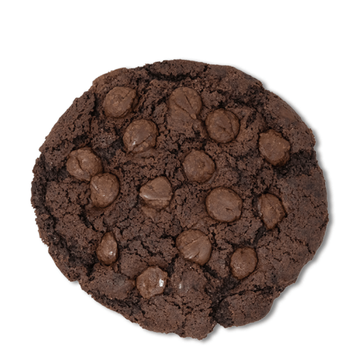 Double Chocolate Chip Cookie 100mg Delta-9 THC