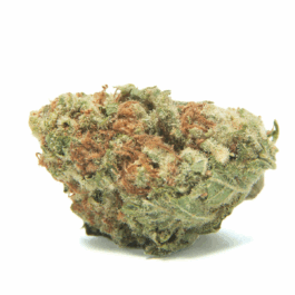 Orange Creamsicle Connoisseur THCA Flower