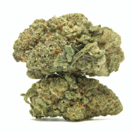 Singapore Sling Connoisseur THCA Flower