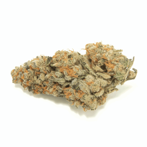 Monkey Bread THCA Flower