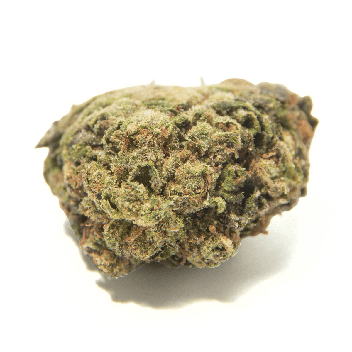 Garlic Truffle Craft Reserve THCA Flower - Snapdragon Hemp