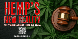 Hemp's new Reality blog post