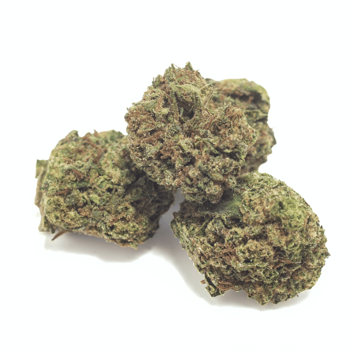 Glitter Bomb Dragon’s Cut THCA Flower