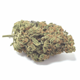 Blue Magic Craft Reserve THCA Flower