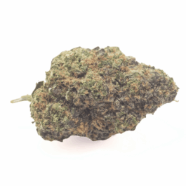 Blueberry Muffin Connoisseur THCA Flower