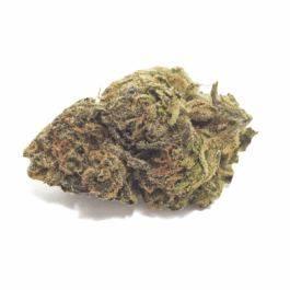 Gelato #41 Dragon's Cut THCA Flower