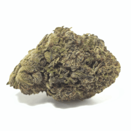Pop Candy Dragon's Cut THCA Flower