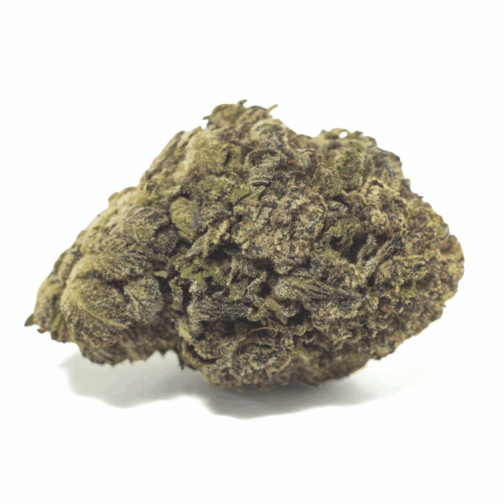 Pop Candy Dragon's Cut