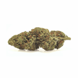 Sour Kush Breath Craft Reserve THCA Flower