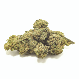 Amaretto Sour Craft Reserve THCA Flower
