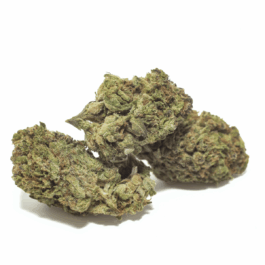 Gooshmintz Craft Reserve THCA Flower