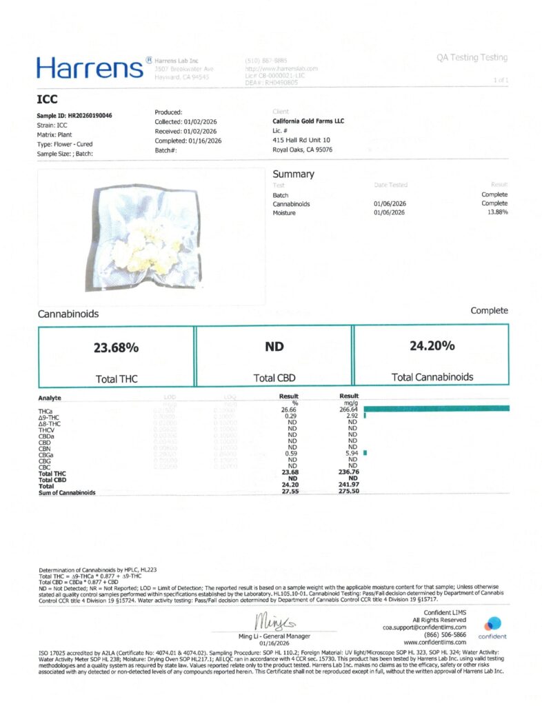 Ice Cream Cake Dragon’s Cut THCA Flower Lab Report