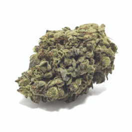 SinMint Cookies Craft Reserve THCA Flower