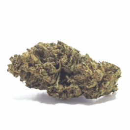 Space Rocks Craft Reserve THCA Flower