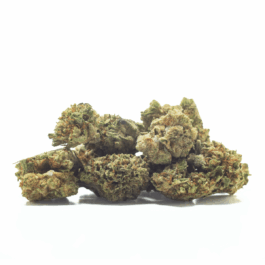 Almond Mochi Craft Reserve THCA Flower