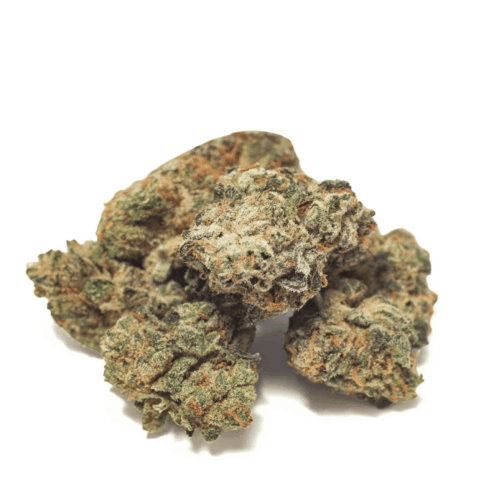Black Amber Connoisseur