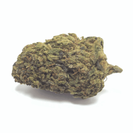 Black Truffle Dragon's Cut THCA Flower