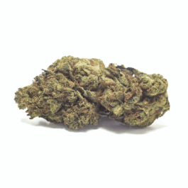 Super Glue Dragon's Cut THCA Flower