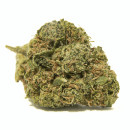 Pineapple Chunks Dragon's Cut THCA Flower