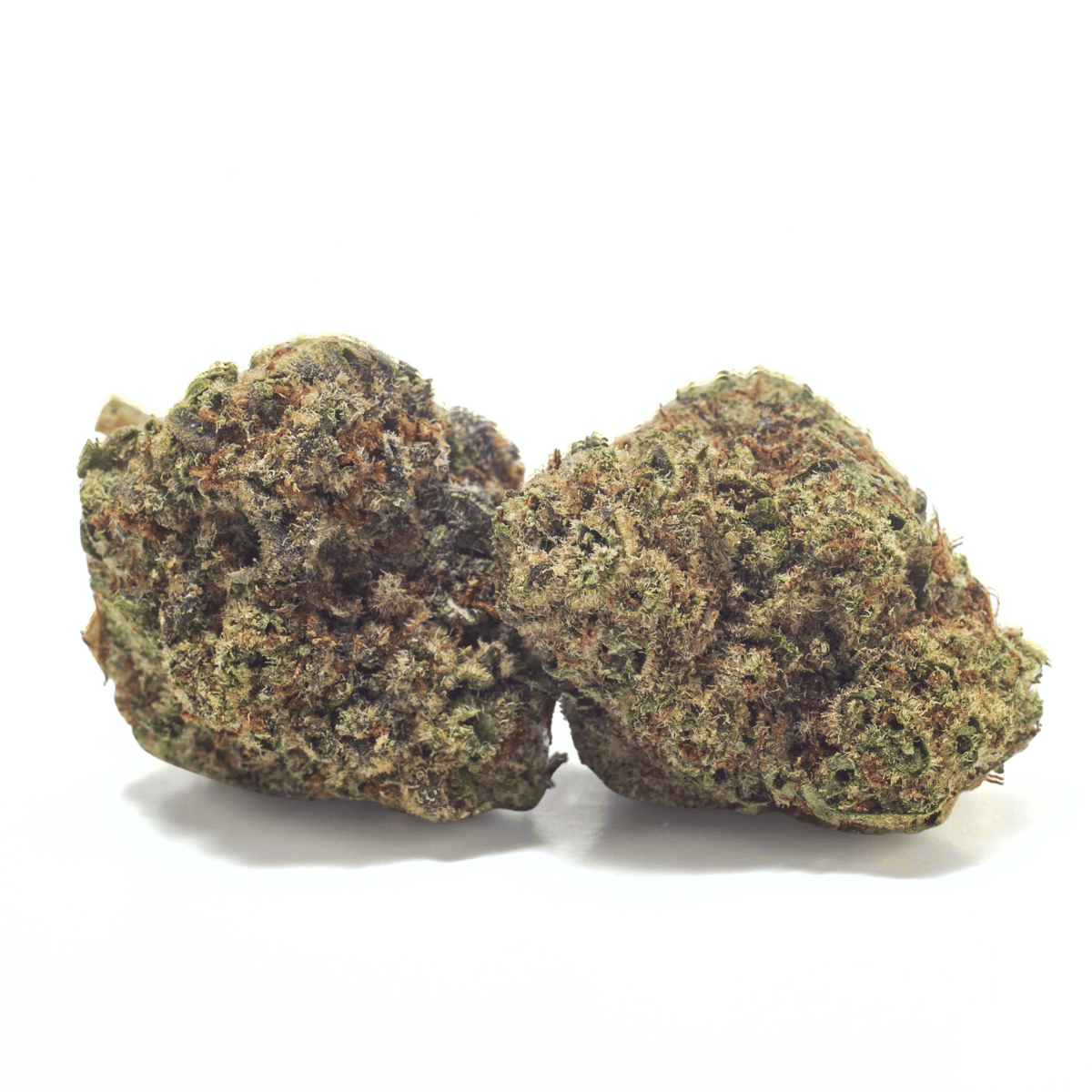 Candy Gelato Dragon's Cut THCA Flower - Snapdragon Hemp