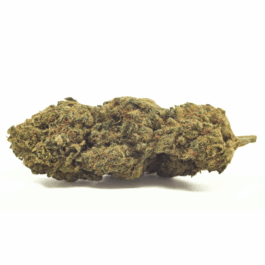 Grandiflora Guava Craft Reserve THCA Flower