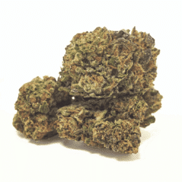 Platinum Cookies Craft Reserve THCA Flower