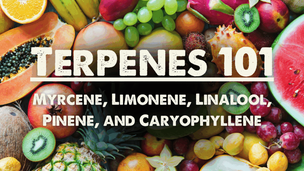 Terpenes 101: Myrcene, Limonene, Linalool, Pinene, and Caryophyllene