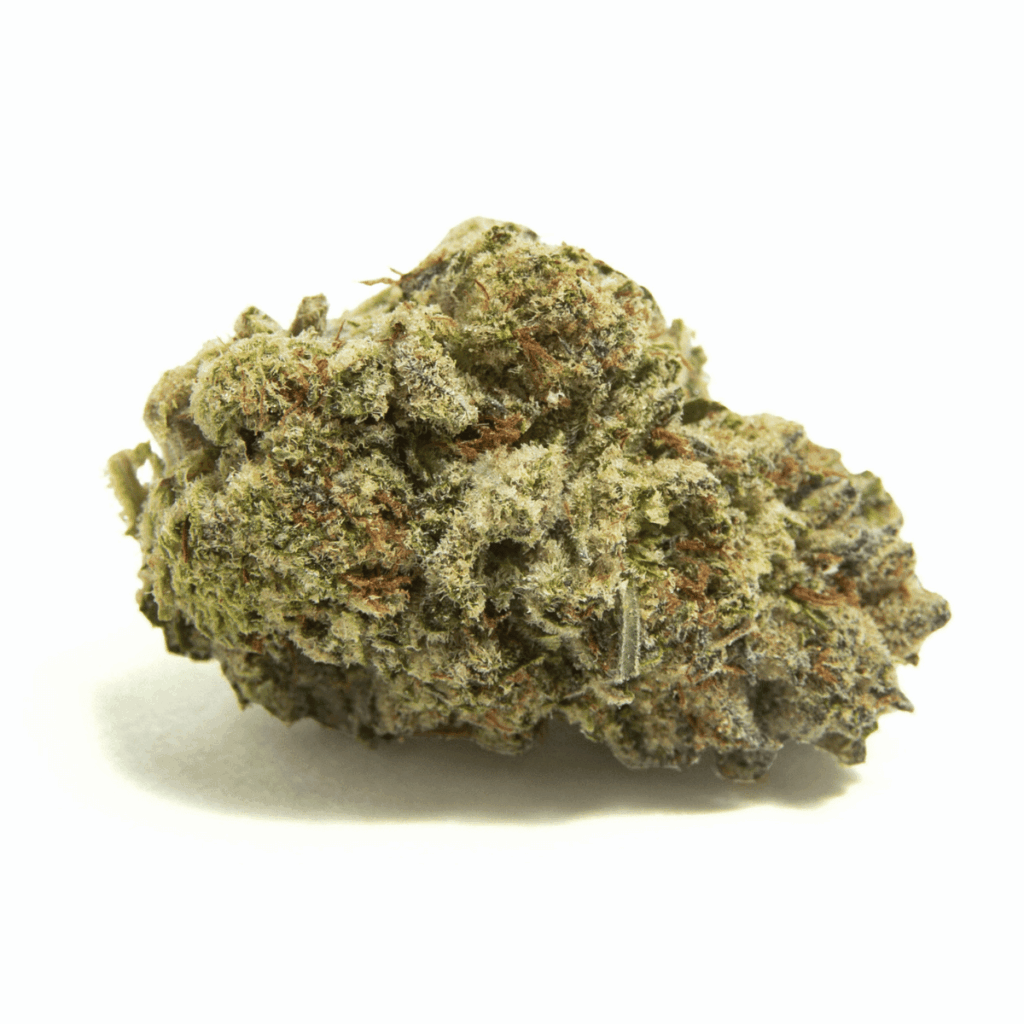 Purple Zilla Craft Reserve THCA Flower - Snapdragon Cannabis Co.