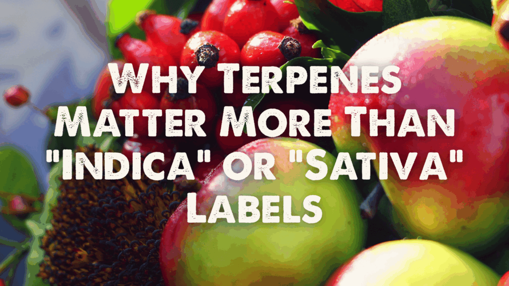Why Terpenes Matter More Than “Indica” or “Sativa” Labels